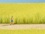 Noch 07060 Riet Assortiment - Afbeelding 2